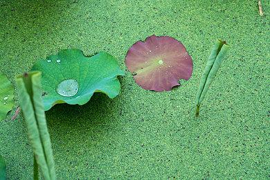 TGA：多人潜行游戏《面面俱盗》预告 2026年发售